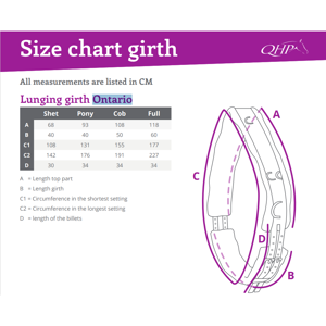 QHP longeersingel Ontario